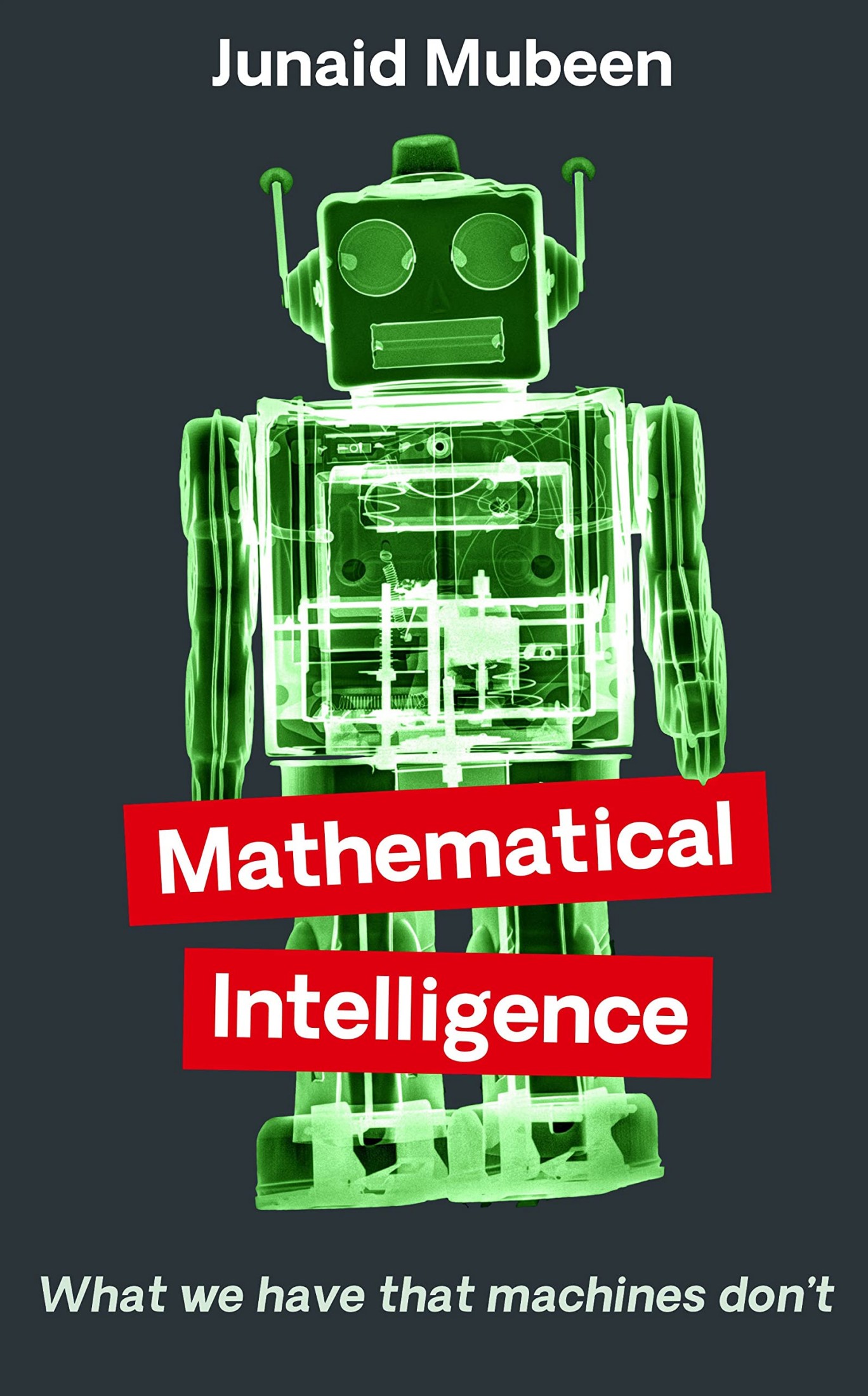 Mathematical Intelligence: What We Have that Machines Don't