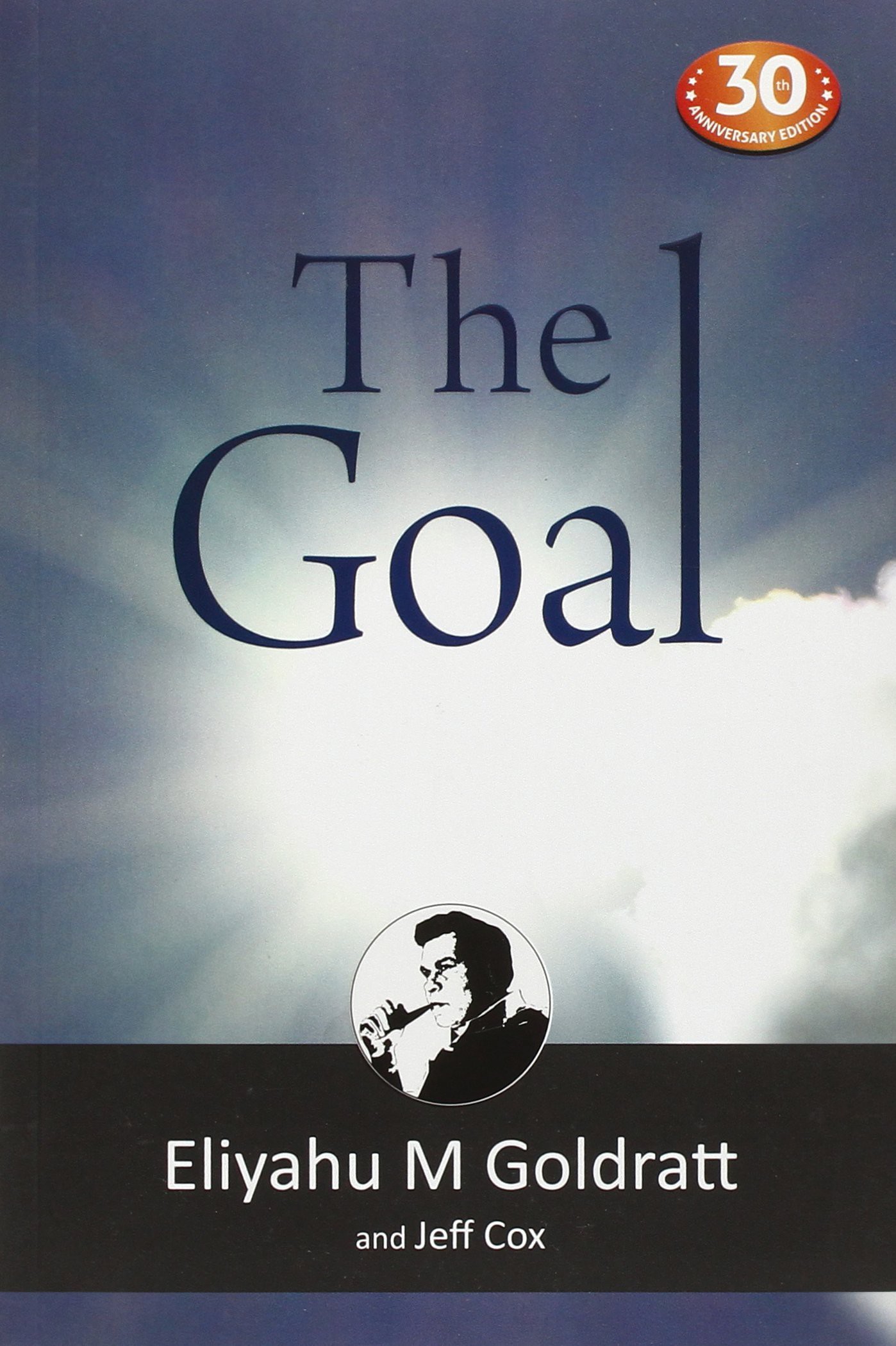 The Goal: A Process of Ongoing Improvement